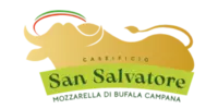 cat_san-salv_1.png